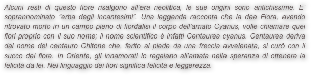 Alcuni resti di questo fiore risalgono all’era neolitica, le sue origini sono antichissime. E’ soprannominato “erba degli incantesimi”. Una leggenda racconta che la dea Flora, avendo ritrovato morto in un campo pieno di fiordalisi il corpo dell’amato Cyanus, volle chiamare quei fiori proprio con il suo nome; il nome scientifico è infatti Centaurea cyanus. Centaurea deriva dal nome del centauro Chitone che, ferito al piede da una freccia avvelenata, si curò con il succo del fiore. In Oriente, gli innamorati lo regalano all’amata nella speranza di ottenere la felicità da lei. Nel linguaggio dei fiori significa felicità e leggerezza.